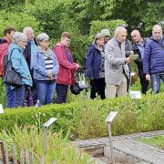 Eventbild SHG Groß-Gerau Apothekergarten